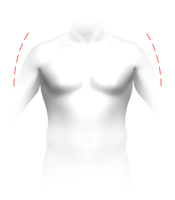 Average chest profile