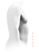 Flat belly profile
