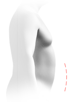 Average belly profile