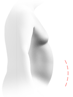 Round belly profile